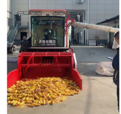 大型玉米脫粒機(jī)